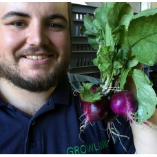 ORGANIC COLOURED RADISHES  Bunch Of 5  Katikati Grown
